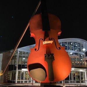 Meet your Posher, Tracey